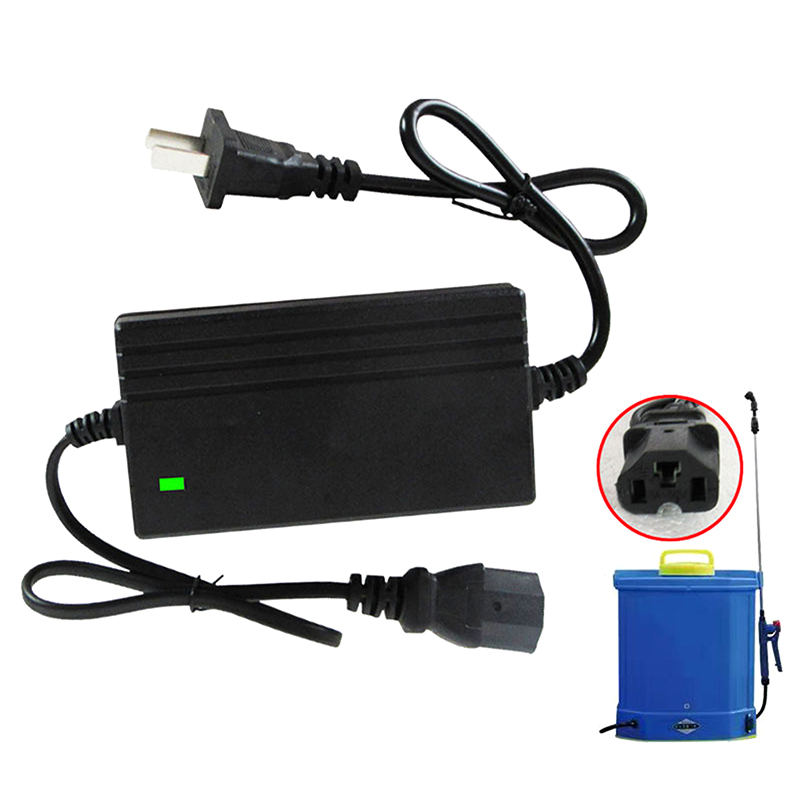 1A Lithium Battery Charger Spa - đánh giá và giá Crossfit Machine
