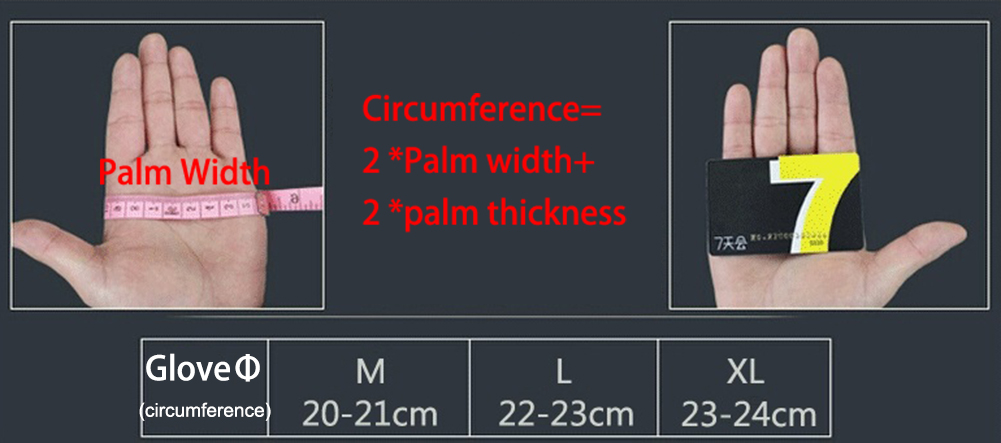 Gym Weights Dumbbells Weightli - đánh giá và giá Crossfit Equipment